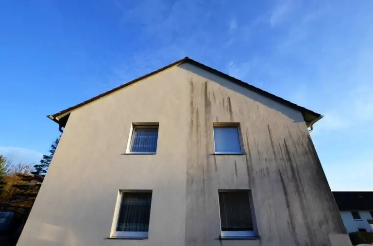fassadenreinigung