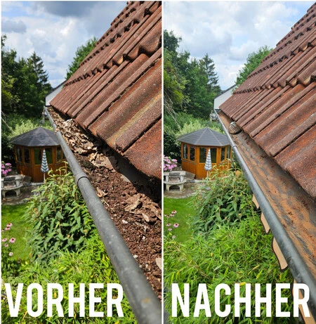Dachrinnenreinigung